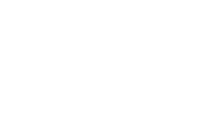 Official Selection - DC Independent Film Festival 2020