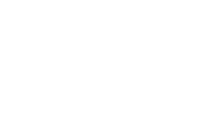 Official Selection -International Social Change Film Festival 2020